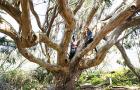 hi marin headlands outdoor hostel adventure rates